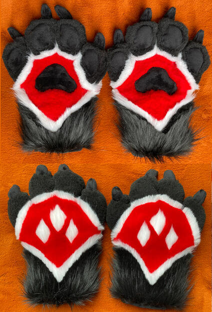 Detailed paws
